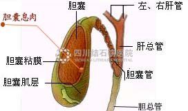 人流时间